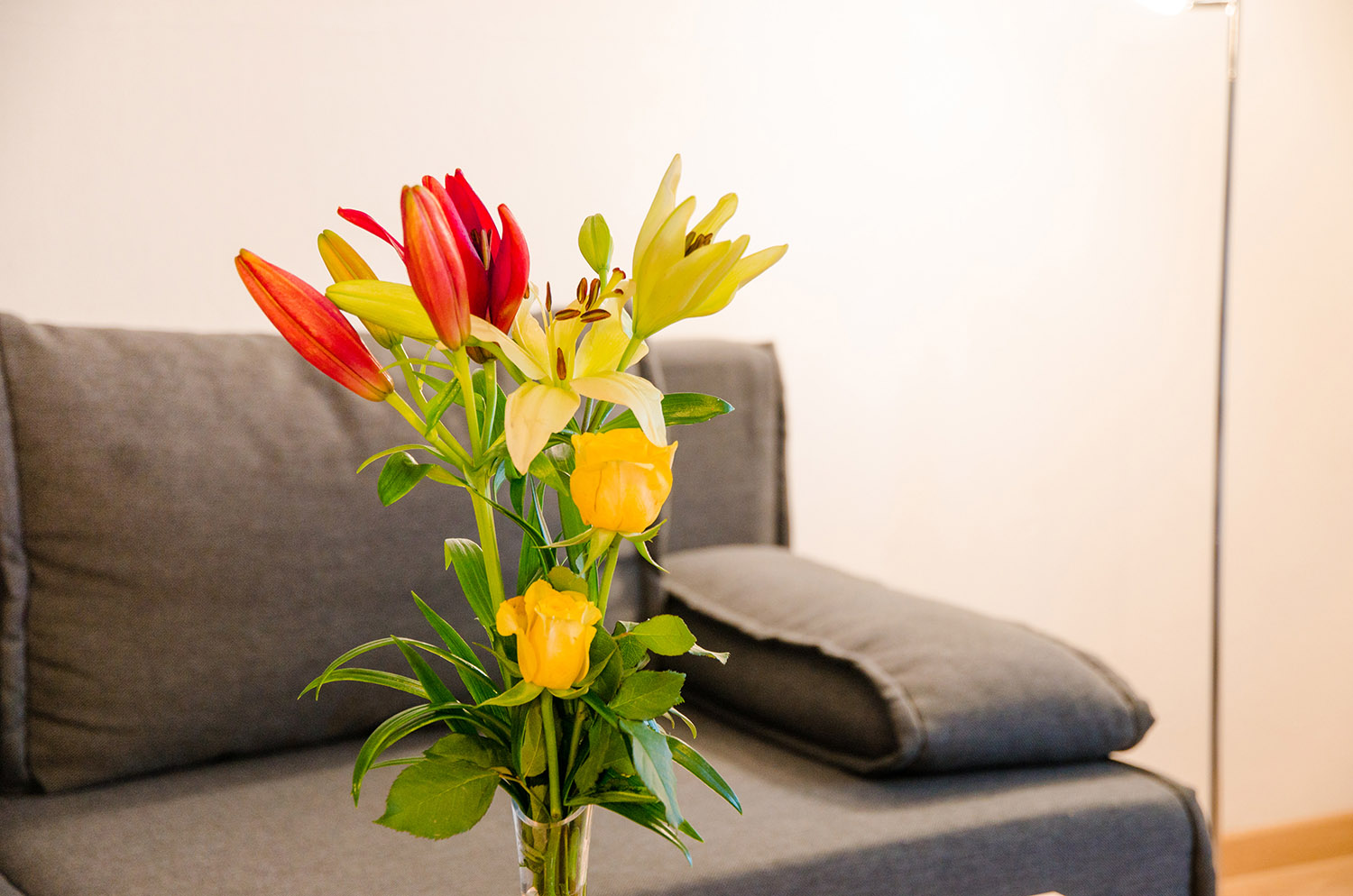 Appartements Haus Winter in Flachau - Ferienwohnung